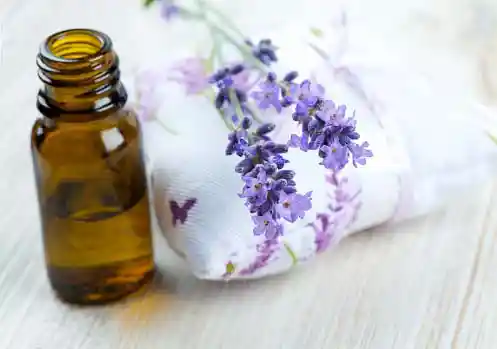 lavender oil in small bottle